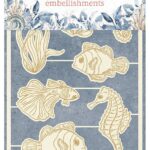 Various sea creatures