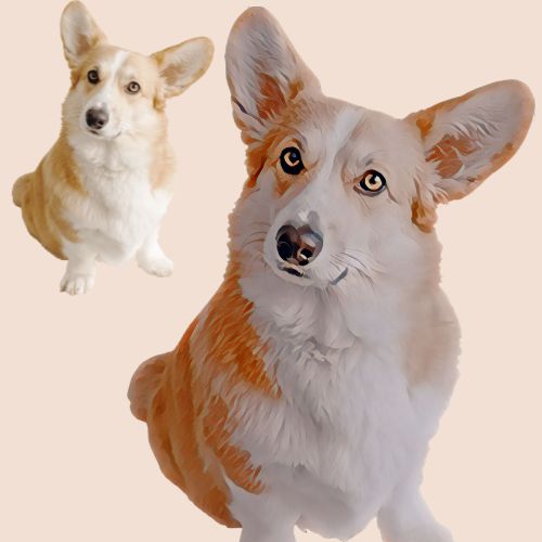 Fun with Photos cartoonized photo of a dog